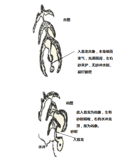 入首龙