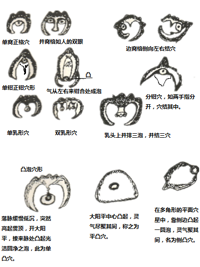 穴形