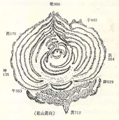 曾从龙状元